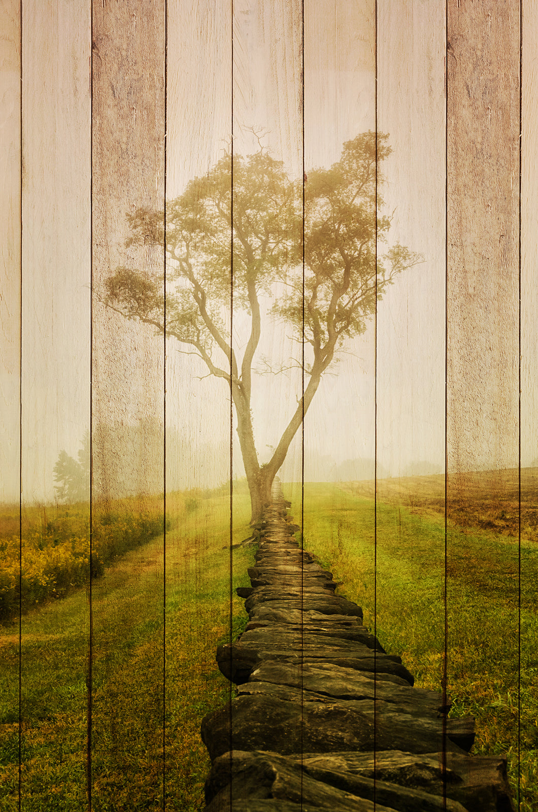 Faux Wood Calming Morning Landscape Photo DIY Wall Decor Instant Download Print - Printable  - PIPAFINEART