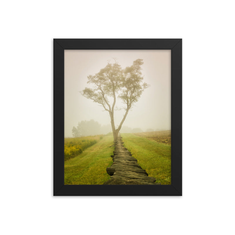 Calming Morning Rural Landscape Framed Photo Paper Wall Art Prints  - PIPAFINEART
