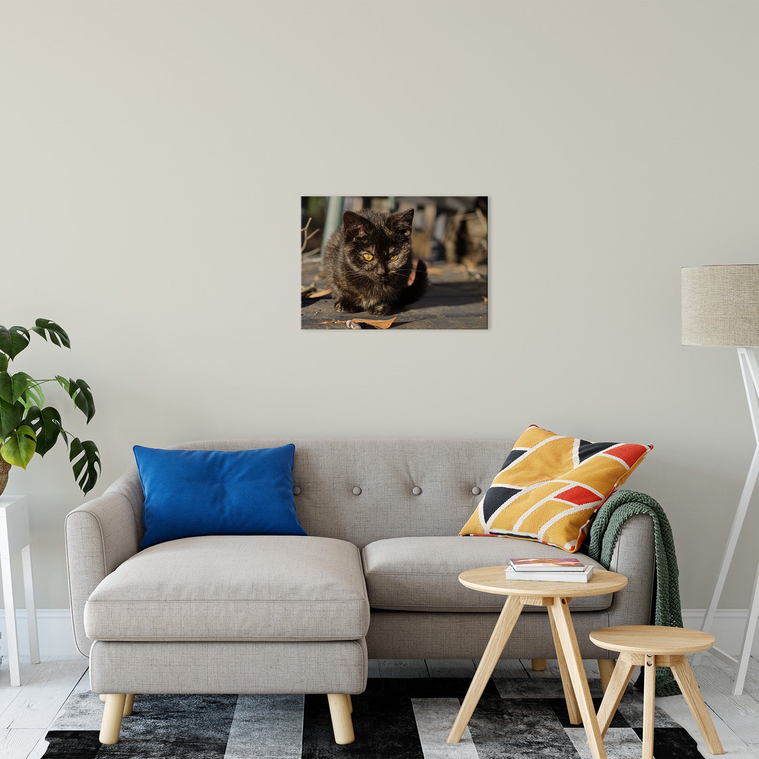 Chocolate the Stray Kitten Animal / Wildlife - Cat Photograph Fine Art Canvas & Unframed Wall Art Prints 20" x 24" / Canvas Fine Art - PIPAFINEART