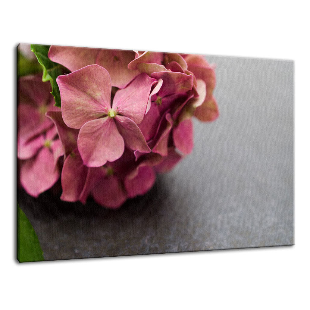 Close-Up Hydrangea on Slate Nature / Floral Photo Fine Art Canvas Wall Art Prints  - PIPAFINEART