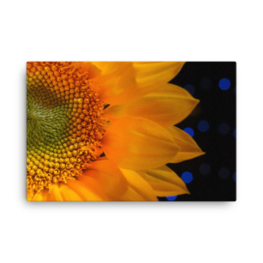 Close-up Sunflower Floral Nature Canvas Wall Art Prints