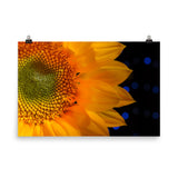 Close-up Sunflower Floral Nature Photo Loose Unframed Wall Art Prints - PIPAFINEART