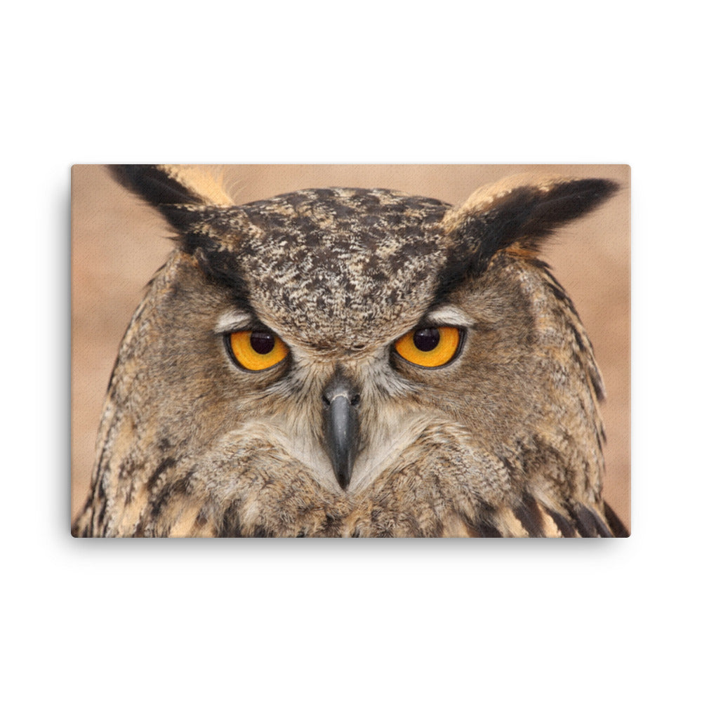 Close-up Yellow Eurasian Eagle Owl Wildlife Animal Canvas Wall Art Print