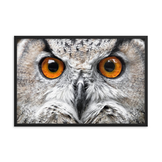 Close-up Yellow Owl Eyes Animal Wildlife Photograph Framed Wall Art Print