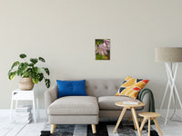 Close-up Hosta Bloom Nature / Floral Photo Fine Art Canvas Wall Art Prints 11" x 14" - PIPAFINEART