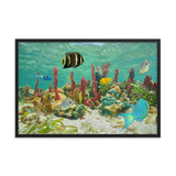 Colorful Tropical Fish Marine Life Coral Reef Caribbean Sea Water Animal Wildlife Photograph Framed Wall Art Print