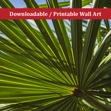 Colorized Wide Palm Leaves Botanical Nature Photo DIY Wall Decor Instant Download Print - Printable  - PIPAFINEART