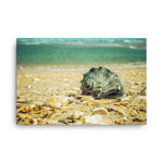 Daydreams on the Shore Coastal Nature Canvas Wall Art Prints