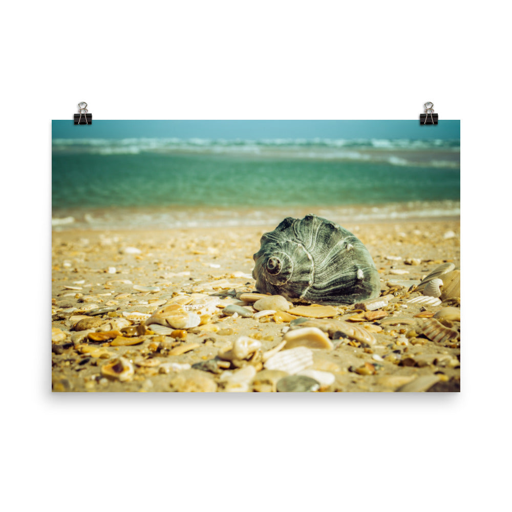 Daydreams on the Shore Coastal Nature Photo Loose Unframed Wall Art Prints - PIPAFINEART