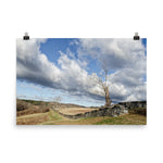 Dead Tree and Stone Wall Landscape Photo Loose Wall Art Prints - PIPAFINEART