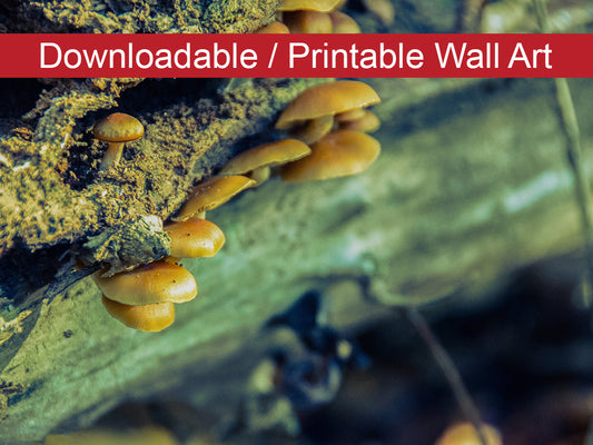 Fall Wall Art Printable: Aged Mushroom Botanical Nature Photo DIY Wall Decor Instant Download Print - Printable  - PIPAFINEART