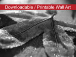 Frost Covered Leaf Botanical Nature Photo DIY Wall Decor Instant Download Print - Printable  - PIPAFINEART