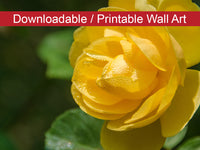 Friendship Rose Floral Nature Photo DIY Wall Decor Instant Download Print - Printable  - PIPAFINEART