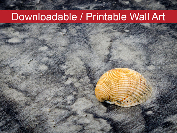 Black Sands and Seashell Coastal Nature Photo DIY Wall Decor Instant Download Print - Printable  - PIPAFINEART
