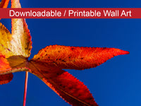 Fall Colors Botanical Nature Photo DIY Wall Decor Instant Download Print - Printable  - PIPAFINEART