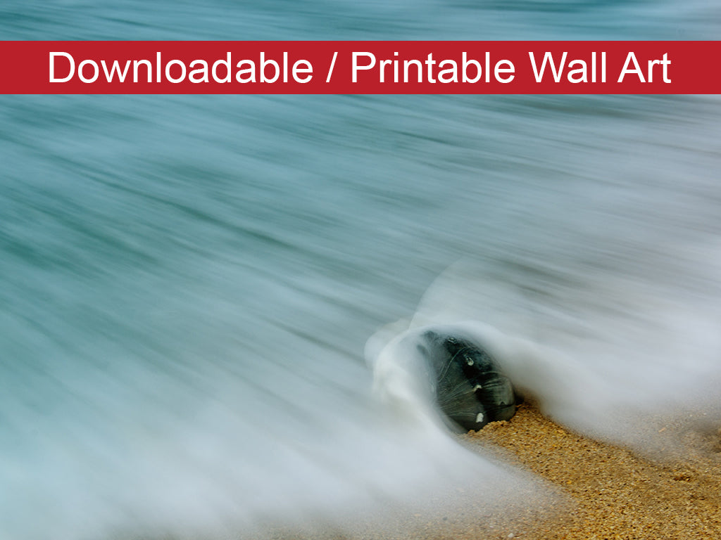 Whelk Seashell and Misty Wave DIY Wall Decor Instant Download Print - Printable Wall Art  - PIPAFINEART