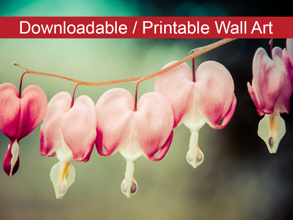Printable Wallart: Be Still My Bleeding Heart Colorized Floral Nature Photo DIY Wall Decor Instant Download Print - Printable  - PIPAFINEART