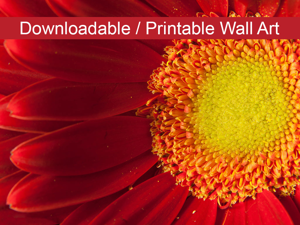 Nature's Beauty DIY Wall Decor Instant Download Print - Printable Wall Art  - PIPAFINEART