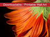 Petite Petals DIY Wall Decor Instant Download Print - Printable Wall Art  - PIPAFINEART