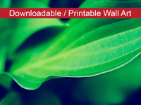 Mellow Hosta Leaves DIY Wall Decor Instant Download Print - Printable  - PIPAFINEART