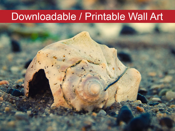 Shell at Bowers 2 DIY Wall Decor Instant Download Print - Printable Wall Art  - PIPAFINEART