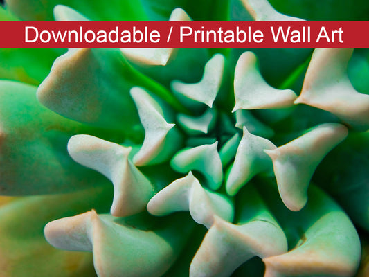 Succulent DIY Wall Decor Instant Download Print - Printable Wall Art  - PIPAFINEART