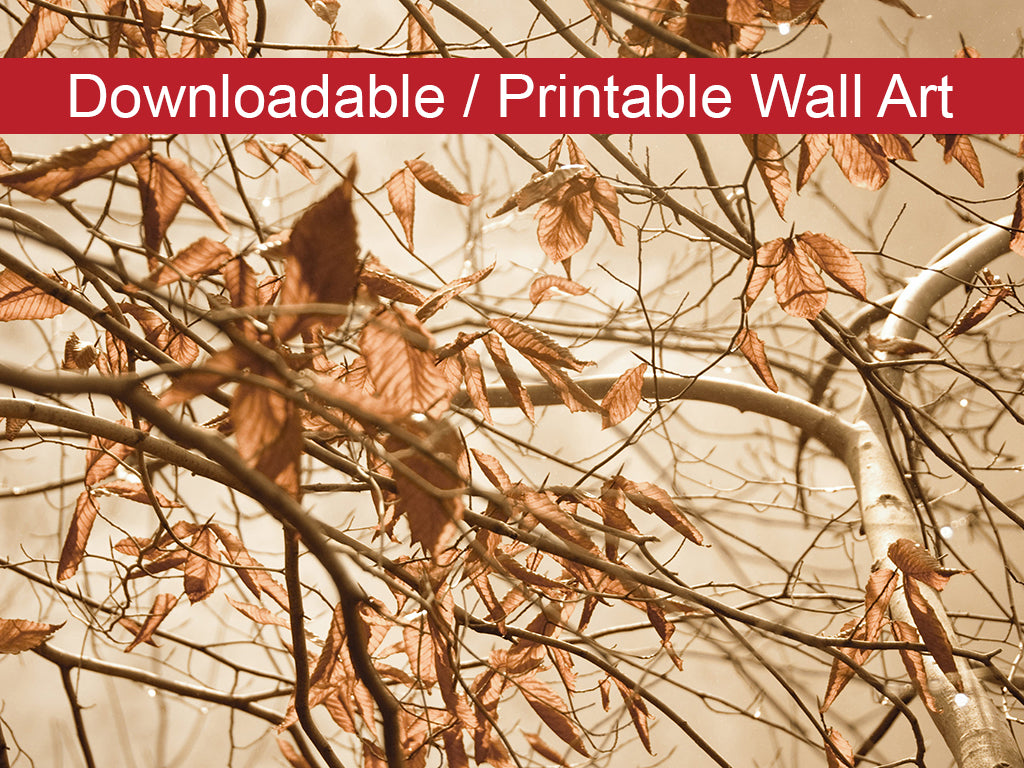 Rustic Printable Wall Art: Aged Winter Leaves Botanical Nature Photo DIY Wall Decor Instant Download Print - Printable  - PIPAFINEART
