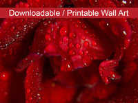 Royal Red Rose DIY Wall Decor Instant Download Print - Printable Wall Art  - PIPAFINEART