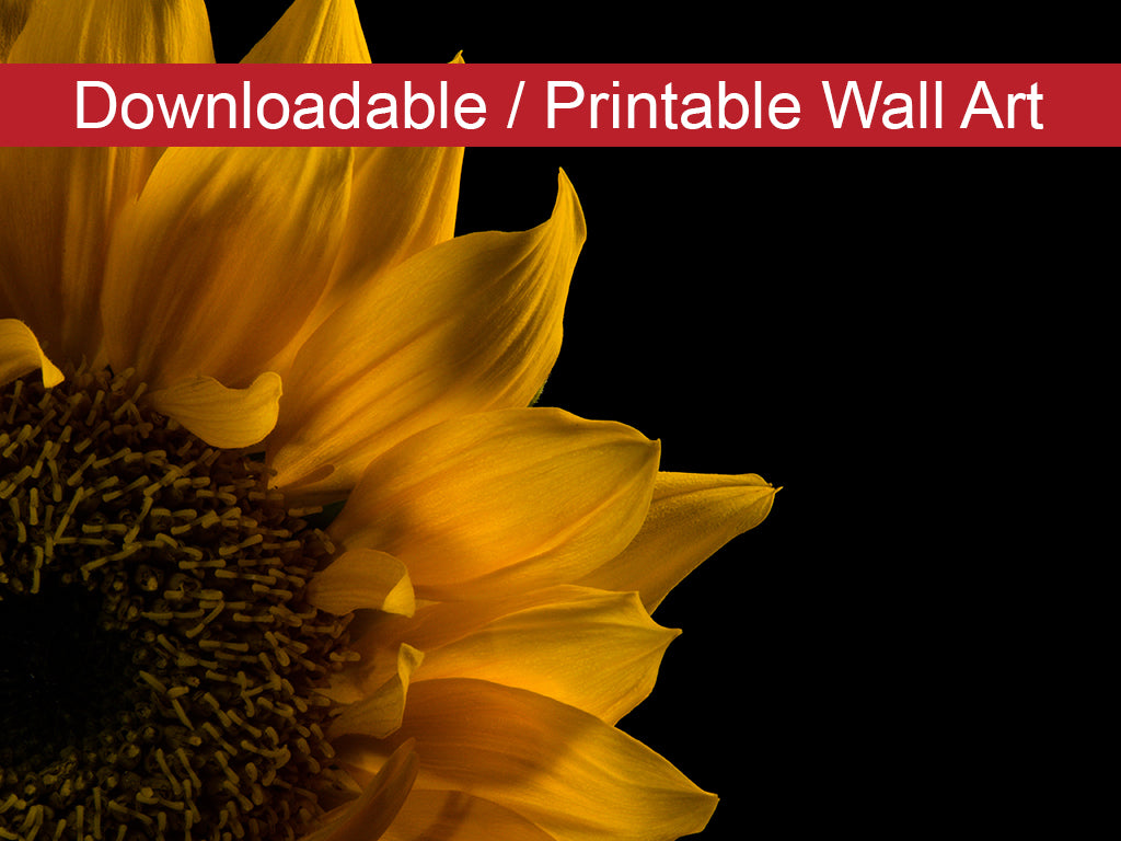 Sunflower in Corner DIY Wall Decor Instant Download Print - Printable Wall Art  - PIPAFINEART