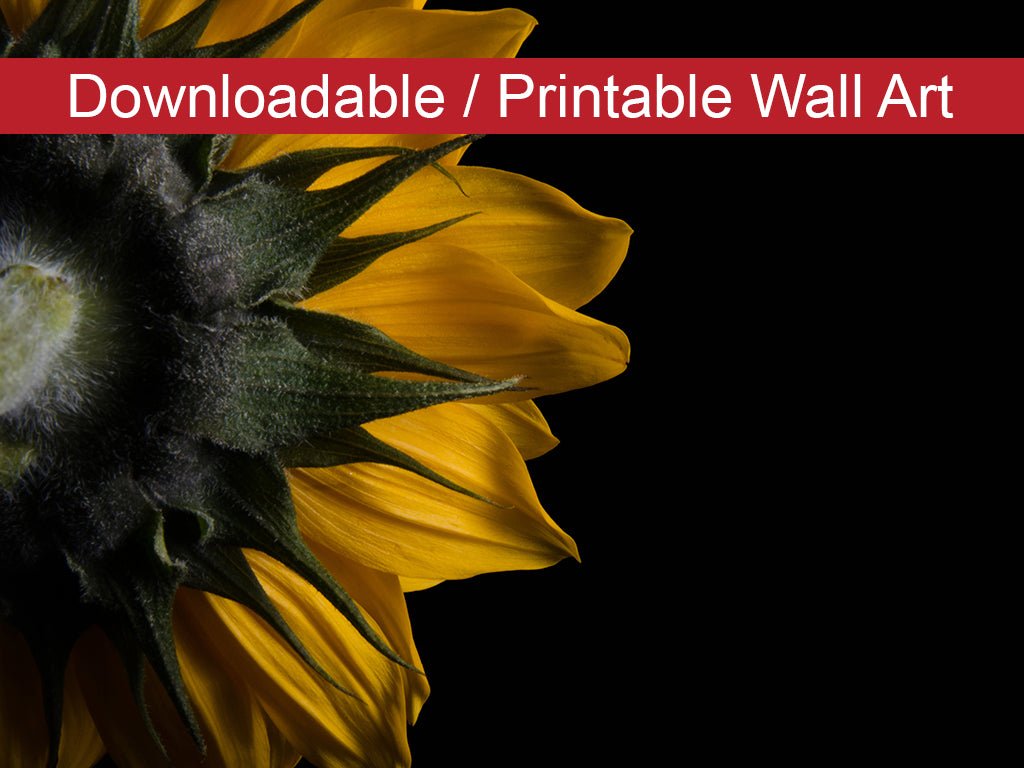 Country Kitchen Wall Hangings: Backside of Sunflower Floral Nature Photo DIY Wall Decor Instant Download Print - Printable  - PIPAFINEART
