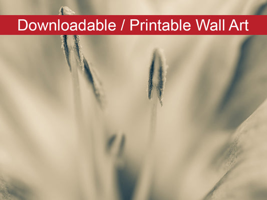 Calm Passions Floral Nature Photo DIY Wall Decor Instant Download Print - Printable  - PIPAFINEART