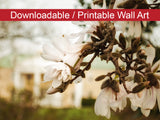 Bellevue Mansion Floral Nature Photo DIY Wall Decor Instant Download Print - Printable  - PIPAFINEART