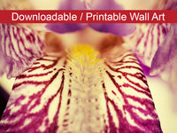 Printable Dining Room Art: Antiqued Iris Floral Nature Photo DIY Wall Decor Instant Download Print - Printable  - PIPAFINEART