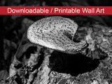 Rustic Bathroom Wall Pictures: Mushroom on Log Black and White DIY Wall Decor Instant Download Print - Printable  - PIPAFINEART