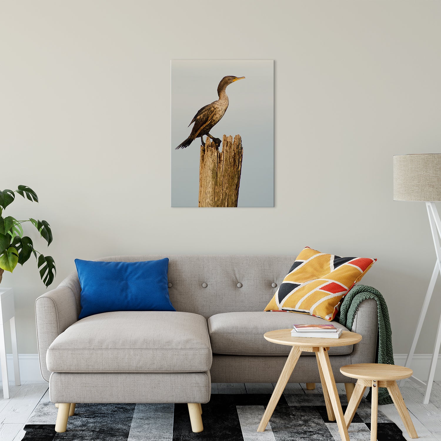 Double Crested Cormorant Animal / Wildlife Photograph Fine Art Canvas & Unframed Wall Art Prints 24" x 36" / Canvas Fine Art - PIPAFINEART