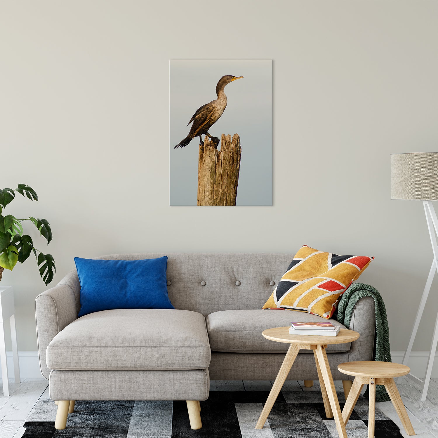 bird photography wall art