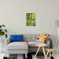 Dragonfly Animal / Wildlife Photograph Fine Art Canvas & Unframed Wall Art Prints 16" x 20" / Canvas Fine Art - PIPAFINEART
