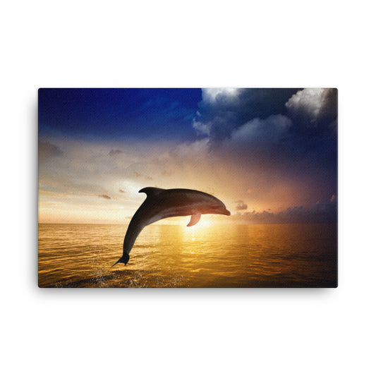 Dramatic Coastal Sunset On The Water With Jumping Bottle Noise Dolphin Animal Wildlife Photograph Canvas Wall Art Print