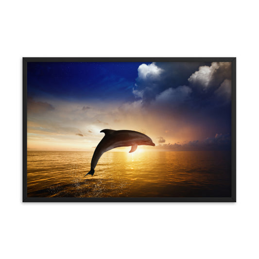 Dramatic Coastal Sunset on the Water with Jumping Bottle Noise Dolphin Animal Wildlife Photograph Framed Wall Art Print