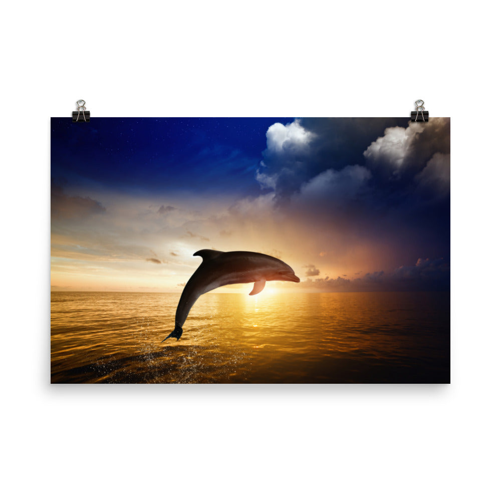 Dramatic Coastal Sunset On The Water With Jumping Bottle Noise Dolphin Animal Wildlife Photograph Loose Wall Art Print