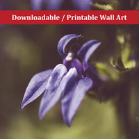 Dramatic Blue Lobelia, Blue Cardinal Flower Nature Photo DIY Wall Decor Instant Download Print - Printable  - PIPAFINEART