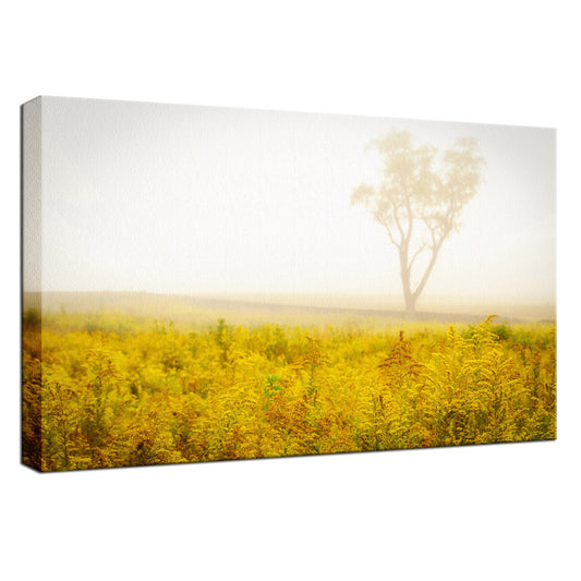 Dreams of Goldenrod and Fog Landscape Photo Fine Art Canvas Wall Art Prints  - PIPAFINEART