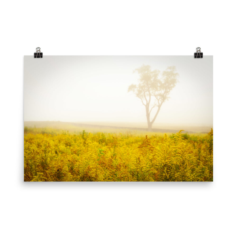 Dreams of Goldenrod and Fog Landscape Photo Loose Wall Art Prints - PIPAFINEART
