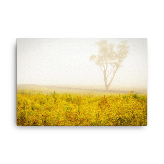Dreams of Goldenrod and Fog Rural Landscape Canvas Wall Art Prints