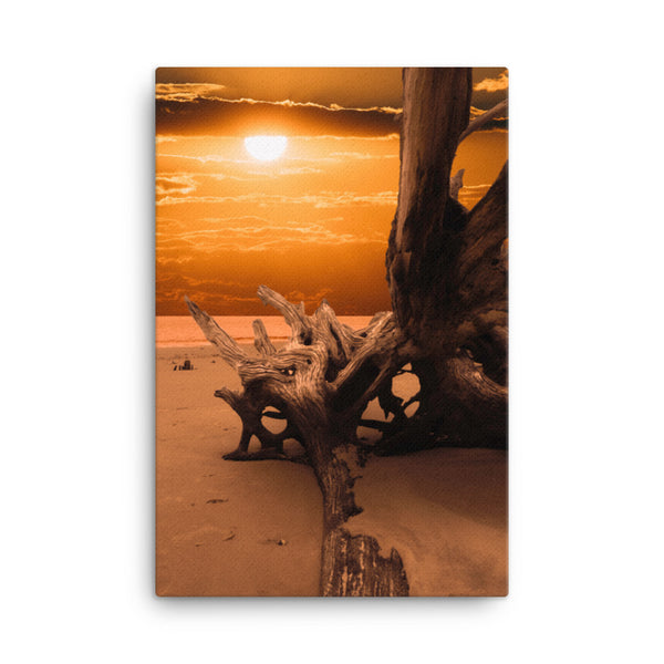 Dried Tree Roots and Sunrise Boneyard Beach Florida 2 Rustic Coastal Landscape Photo Canvas Wall Art Print