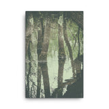 Early Spring Reflections on the Marsh Botanical Nature Canvas Wall Art Prints