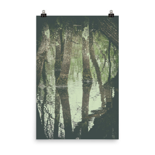 Early Spring Reflections on the Marsh Botanical Nature Photo Loose Unframed Wall Art Prints - PIPAFINEART