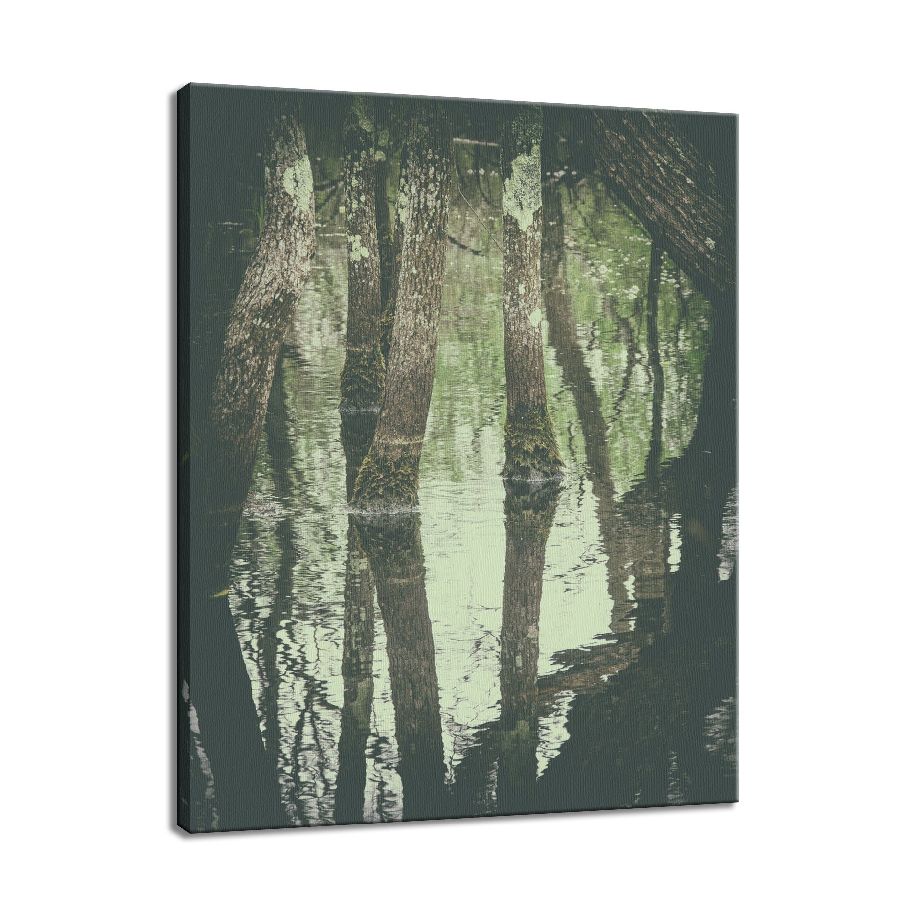 Early Spring Reflections on the Marsh Botanical / Nature Photo Fine Art Canvas Wall Art Prints  - PIPAFINEART