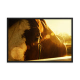 Evening Flare Animal Horse Photograph Framed Wall Art Prints