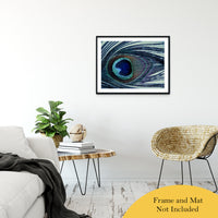 Eye of the Peacock Abstract Photo Fine Art Canvas & Unframed Wall Art Prints 24" x 36" / Classic Paper - Unframed - PIPAFINEART